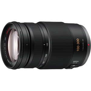 Panasonic Lumix G Vario 100-300mm f/4.0-5.6