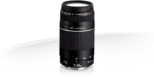 Canon EF 75-300mm f/4-5.6 III USM